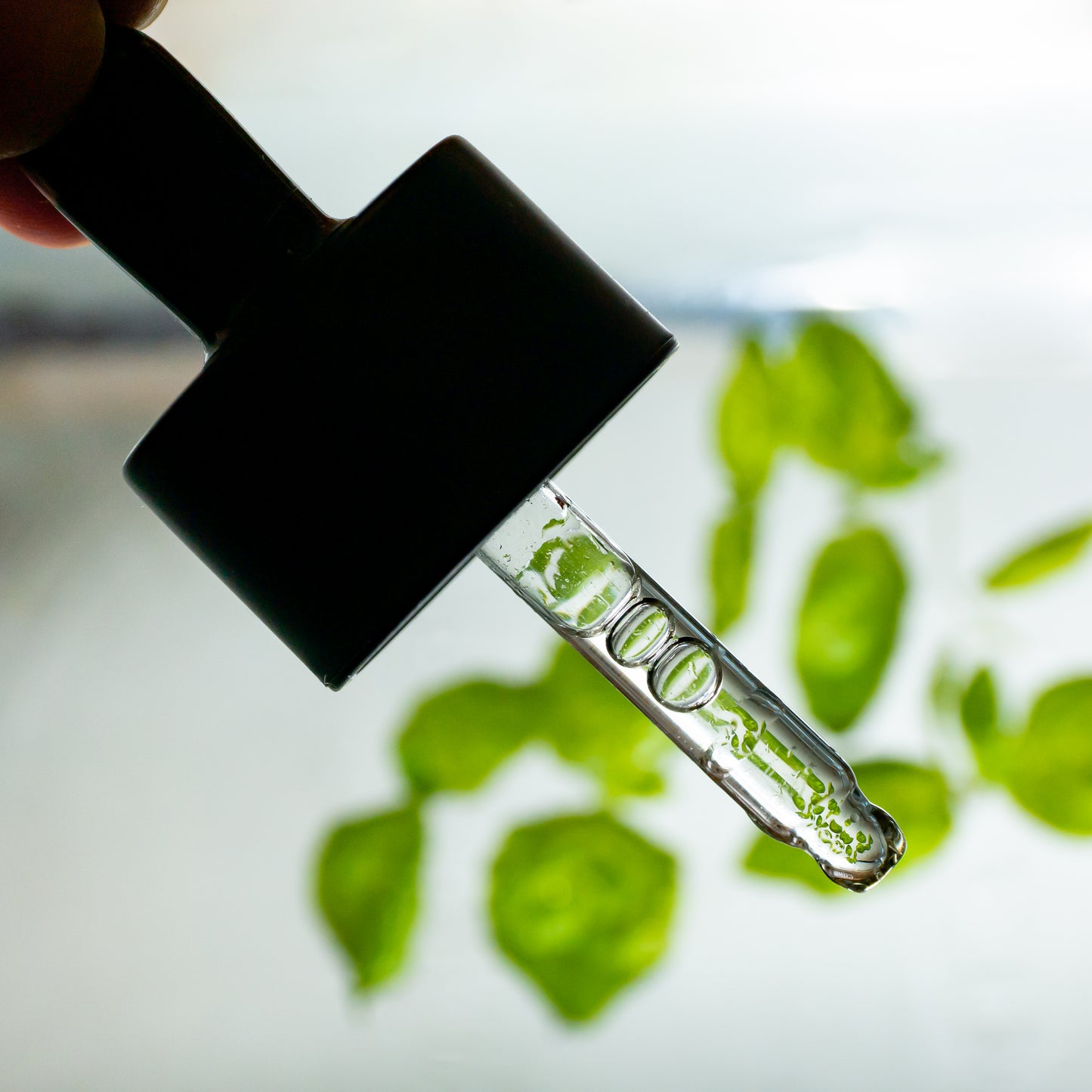Rainforest Omega Rich Oil Serum - 30 ml